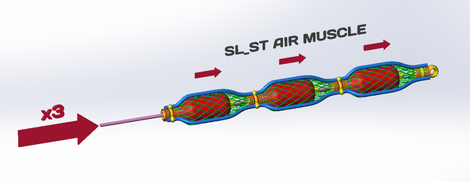 SL_ST 空中肌肉演示进行中